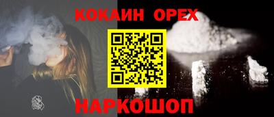 крисы Шебекино