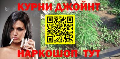 крисы Шебекино