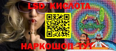 крисы Шебекино