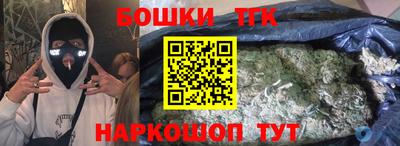 крисы Шебекино