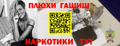 крисы Шебекино