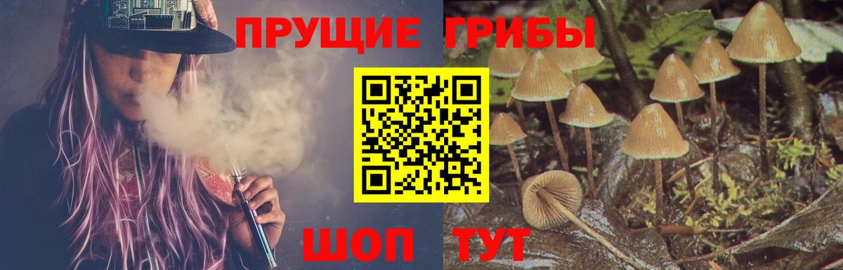 Вязьма  Галлюциногенные грибы MAGIC MUSHROOMS  Вход с VPN 