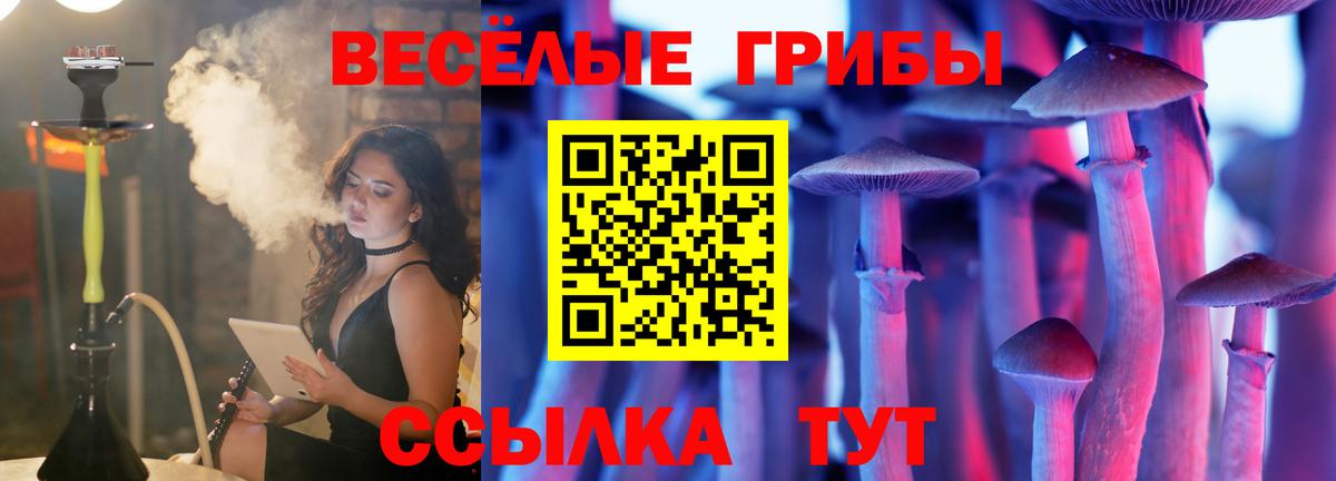 Псилоцибиновые грибы ЛСД Вязьма